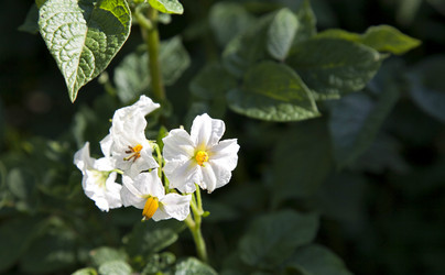 Similar image 13144281