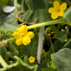 Similar image 13144301