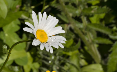 Similar image 13144343