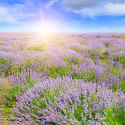 Similar image 13143036