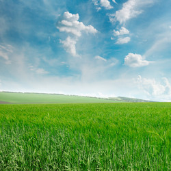 Similar image 13143041