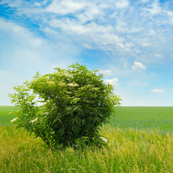 Similar image 13143044