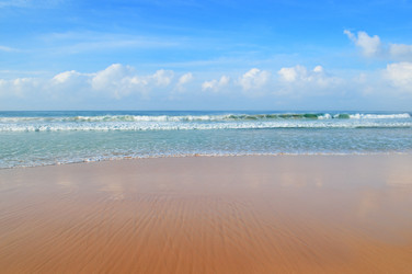 Similar image 13143048