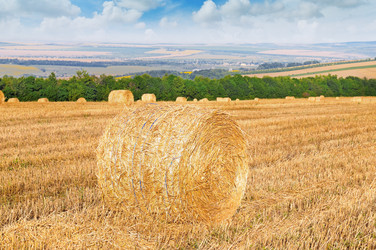 Similar image 13143049