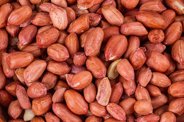 Similar image 13143703