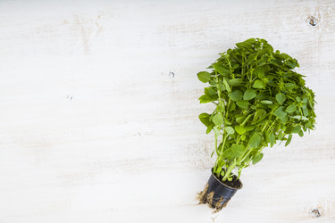 Similar image 13132690