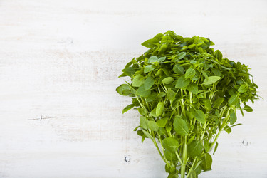 Similar image 13132691