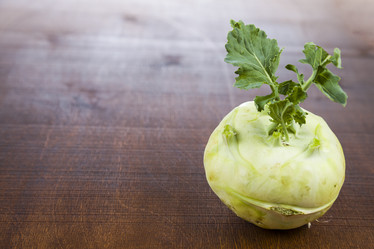 Similar image 13132692