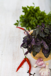 Similar image 13132716