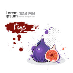 Similar image 13138699