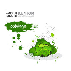 Similar image 13138737