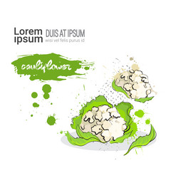 Similar image 13138738