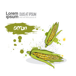 Similar image 13138755