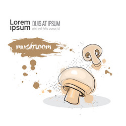 Similar image 13138757