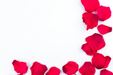 Similar image 13143632