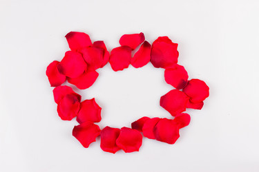 Similar image 13143917