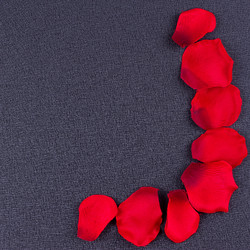 Similar image 13143921