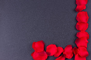 Similar image 13143923