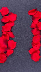 Similar image 13143929