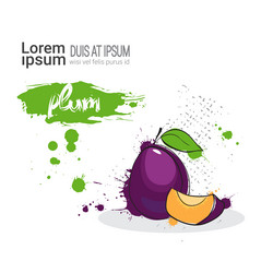 Similar image 13138799