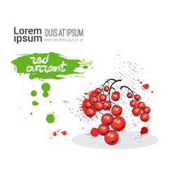 Similar image 13138817