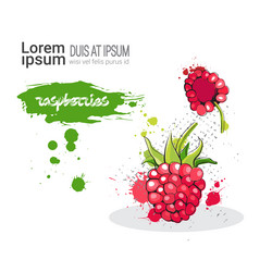 Similar image 13138837