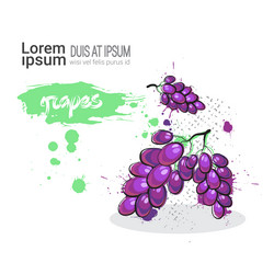 Similar image 13138838