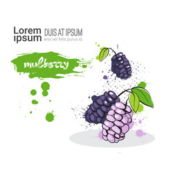 Similar image 13138839