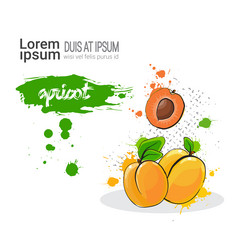 Similar image 13138857