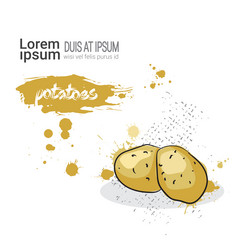 Similar image 13138858