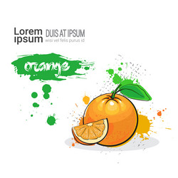 Similar image 13138899