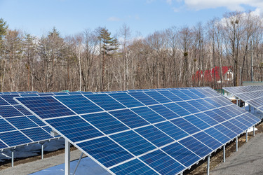 Similar image 13147709