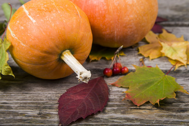 Similar image 13143654