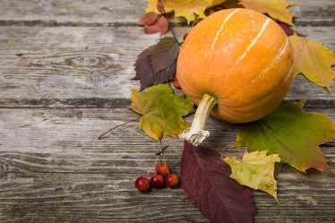 Similar image 13143657