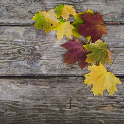 Similar image 13143710