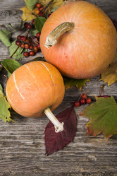 Similar image 13143500