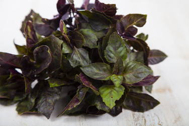 Similar image 13143513