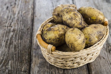 Similar image 13143520