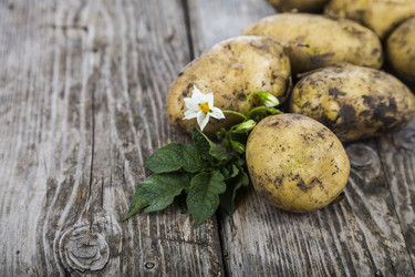 Similar image 13143521