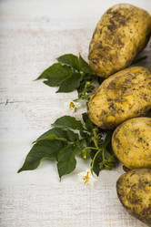 Similar image 13143523