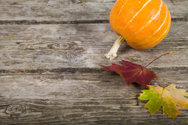 Similar image 13143530