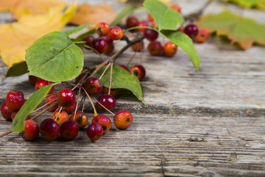 Similar image 13143566