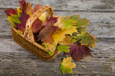 Similar image 13143567