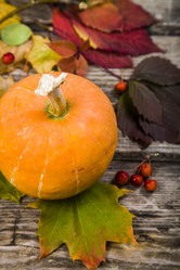 Similar image 13143569