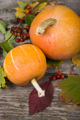 Similar image 13143572