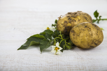 Similar image 13143573