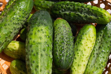 Similar image 13143856