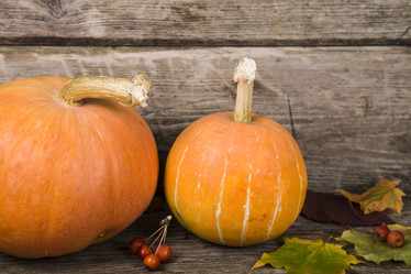 Similar image 13143664