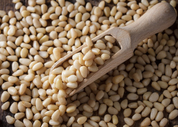 Similar image 13145495