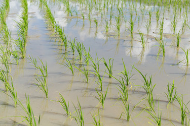 Similar image 13148504